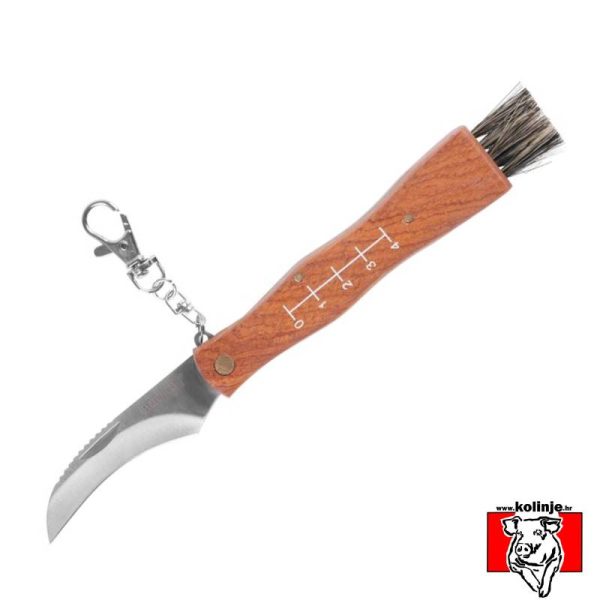 Nož za branje gljiva 140 / 210 mm s četkicom