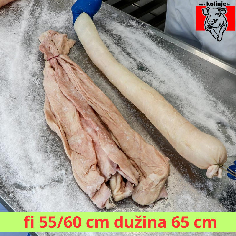 SVINJSKI KULAR - GUŽNJAK cal. 55/60 - 0,65  m - 10 KOM