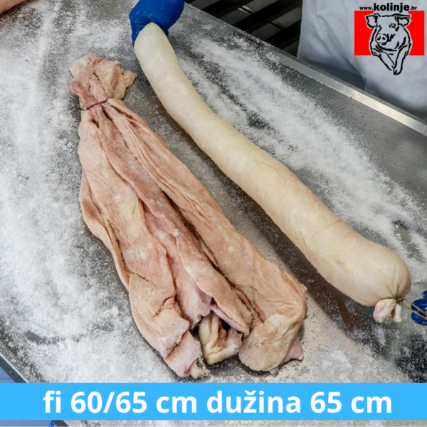 SVINJSKI KULAR - GUŽNJAK cal. 60/65 - 0,65  m - 10 KOM