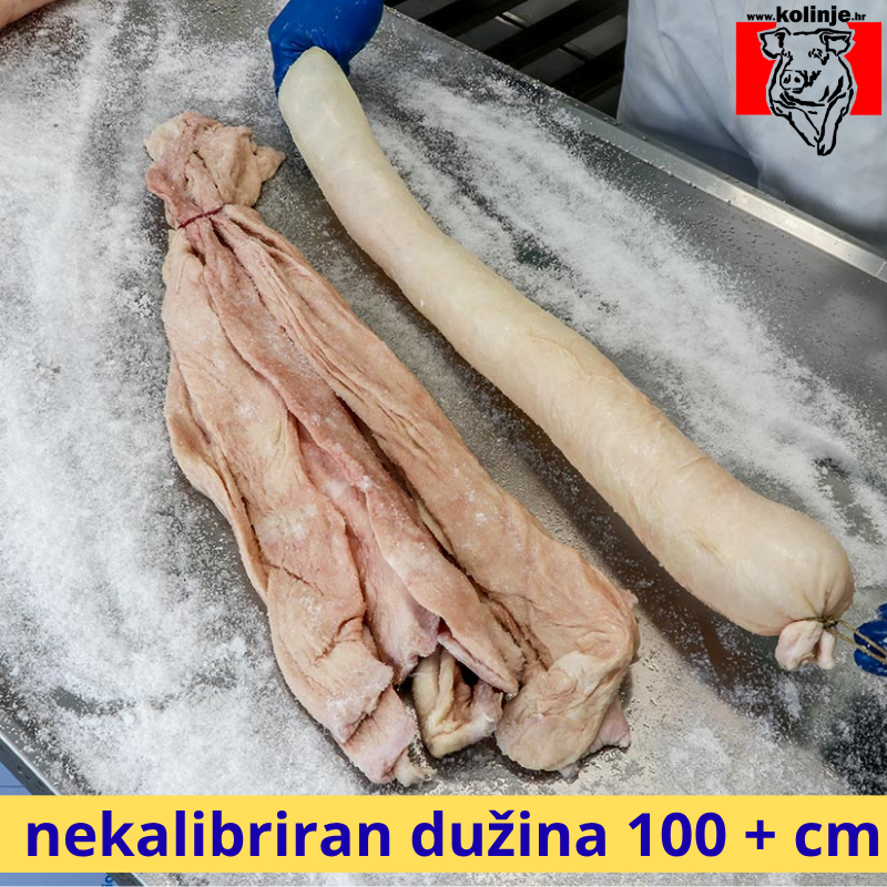 SVINJSKI KULAR - GUŽNJAK nekalibriran 1,00  m / + - 10 KOM