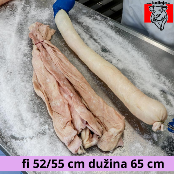 SVINJSKI KULAR - GUŽNJAK cal. 52/55 - 0,65  m - 10 KOM